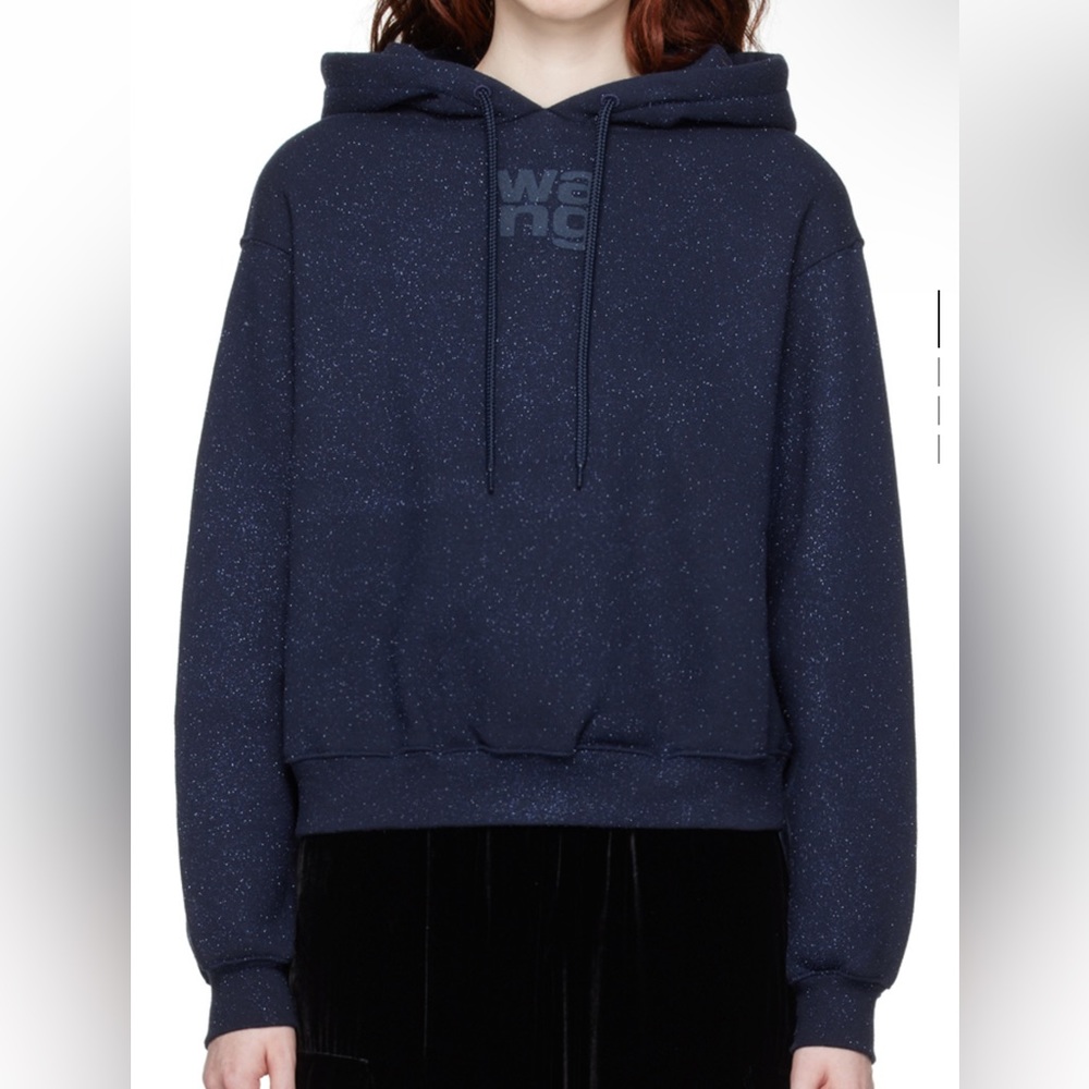 Alexander wang navy glitter hoodie small